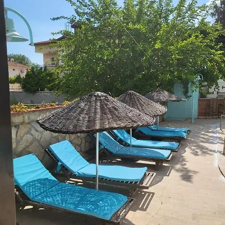 公寓式酒店 Turtle Bungalows 达利安